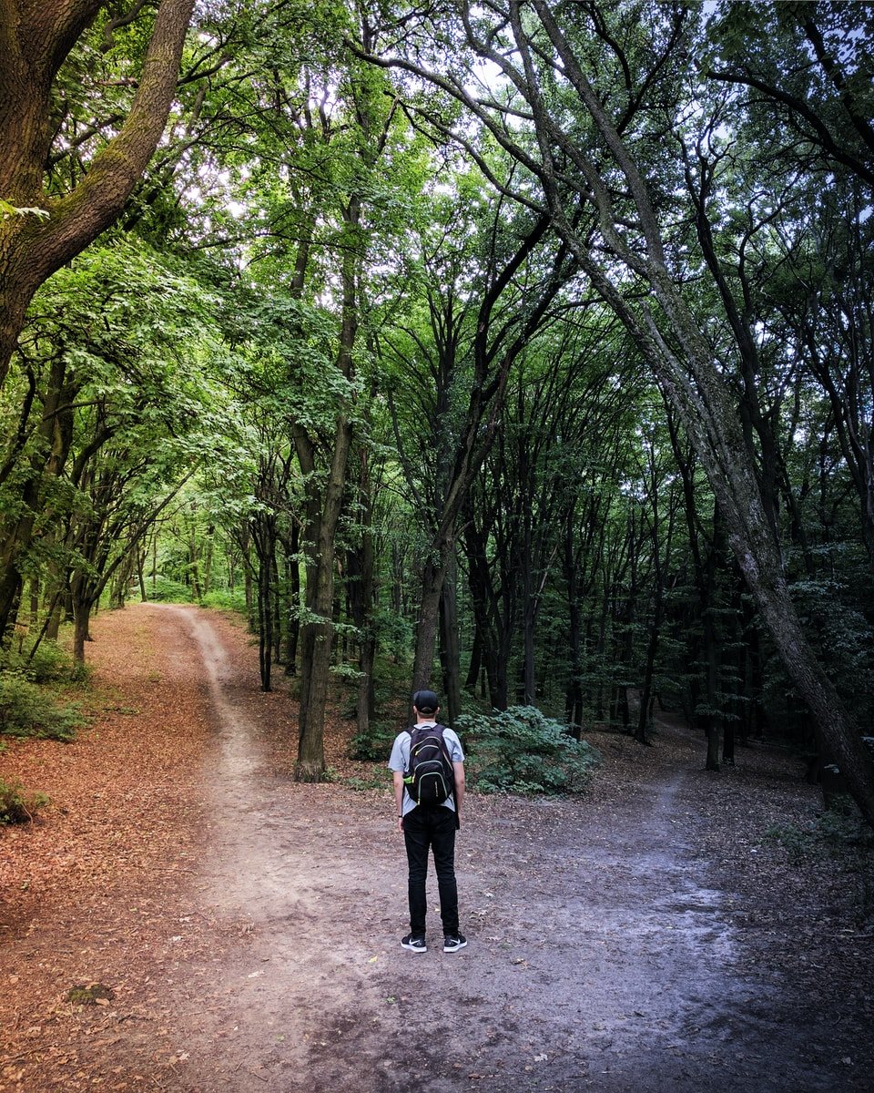 man standing in the middle of woods